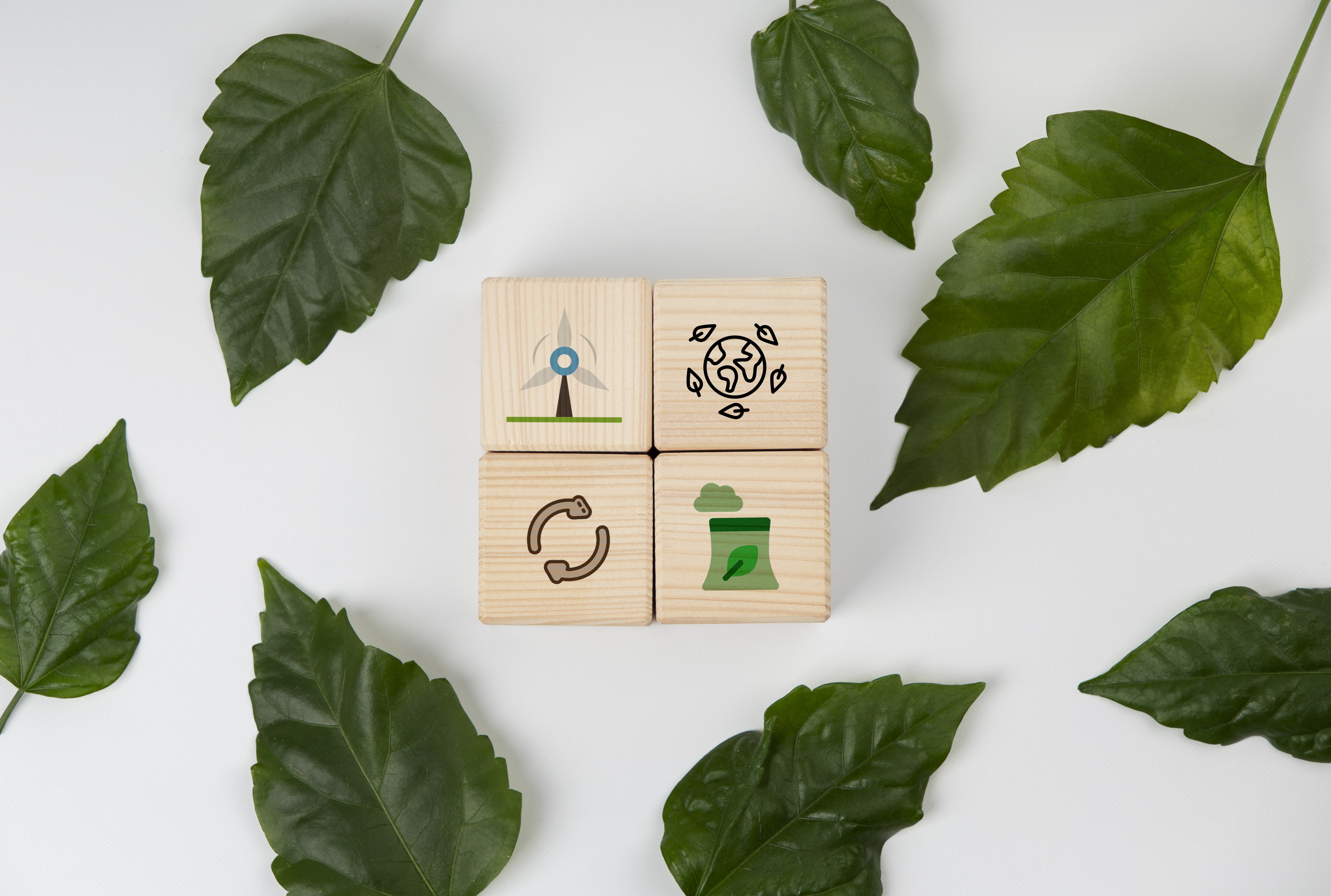 Ecología Evolutiva Del Desarrollo