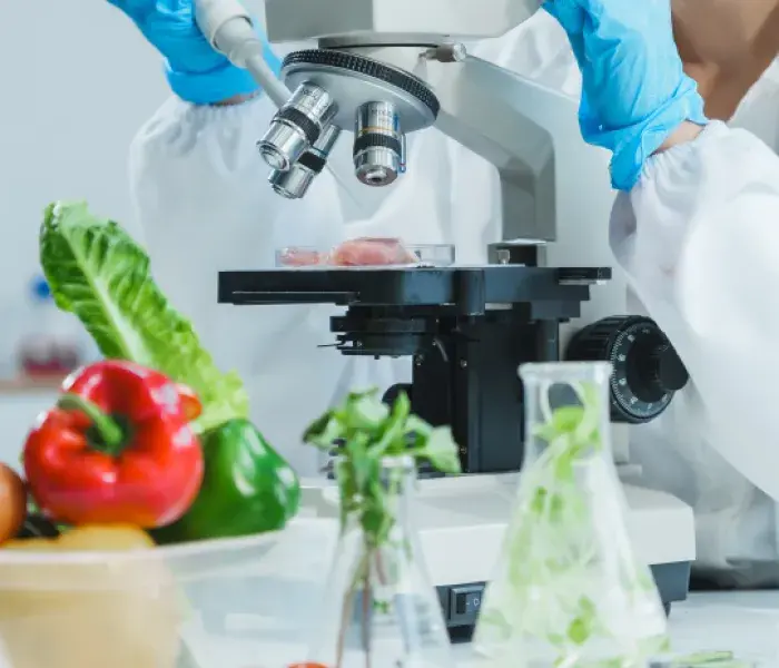 Diplomado en Nutrición e innovación para el desarrollo de alimentos