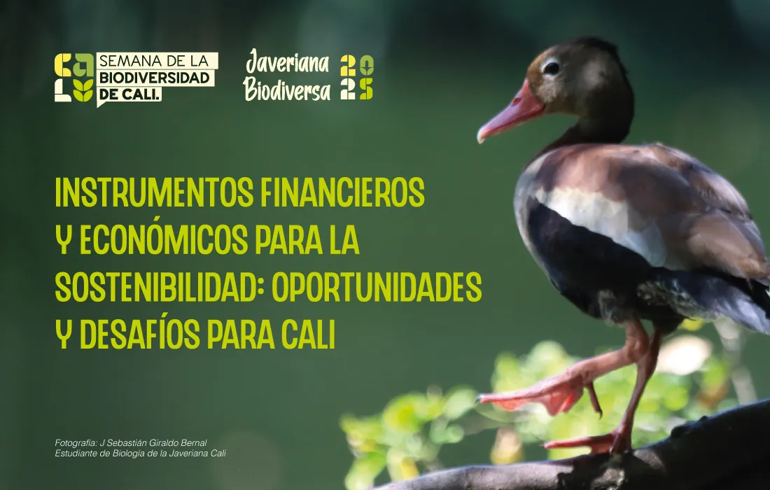 El reto de ponerle valor a la naturaleza: Javeriana Cali abrió reflexión durante la Semana de la Biodiversidad 2025 El reto de ponerle valor a la naturaleza: Javeriana Cali abrió reflexión durante la Semana de la Biodiversidad 2025