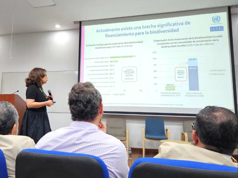 El reto de ponerle valor a la naturaleza: Javeriana Cali abrió reflexión durante la Semana de la Biodiversidad 2025 El reto de ponerle valor a la naturaleza: Javeriana Cali abrió reflexión durante la Semana de la Biodiversidad 2025