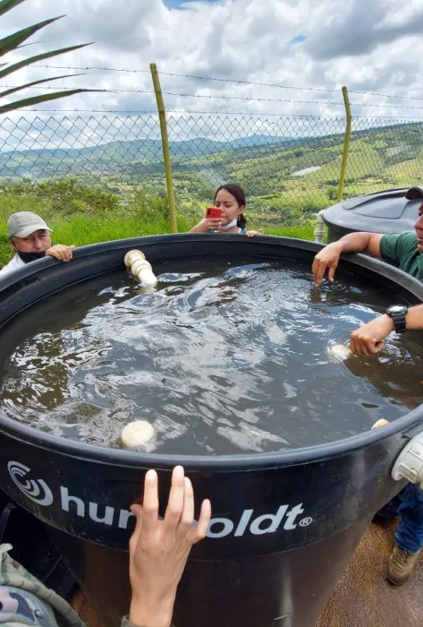 Tratamiento Agua San Pablo Restrepo