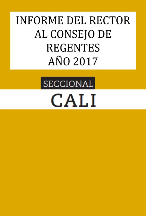 Informe de gestión 2017