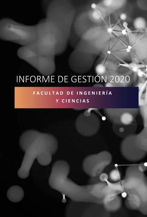 Informe de Gestión 2020